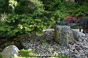 wbgarden spring 41